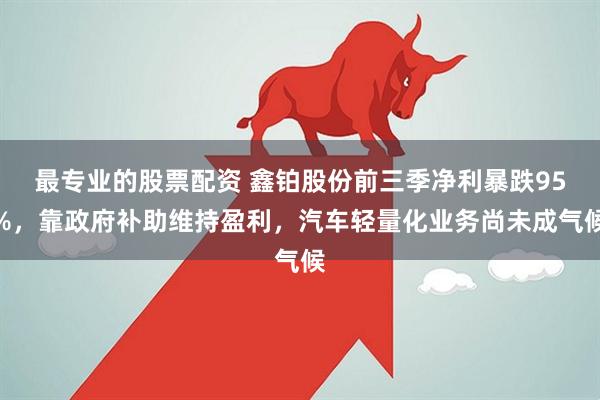 最专业的股票配资 鑫铂股份前三季净利暴跌95%，靠政府补助维持盈利，汽车轻量化业务尚未成气候