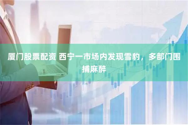厦门股票配资 西宁一市场内发现雪豹，多部门围捕麻醉